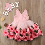 Princess Kids Baby Girls Dress Sleeveless 3D Rose Floral Party Tutu Dress Ball Gown Dresses Back Bowknot Baby Girl Clothes